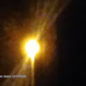 Meet your Posher, Larry